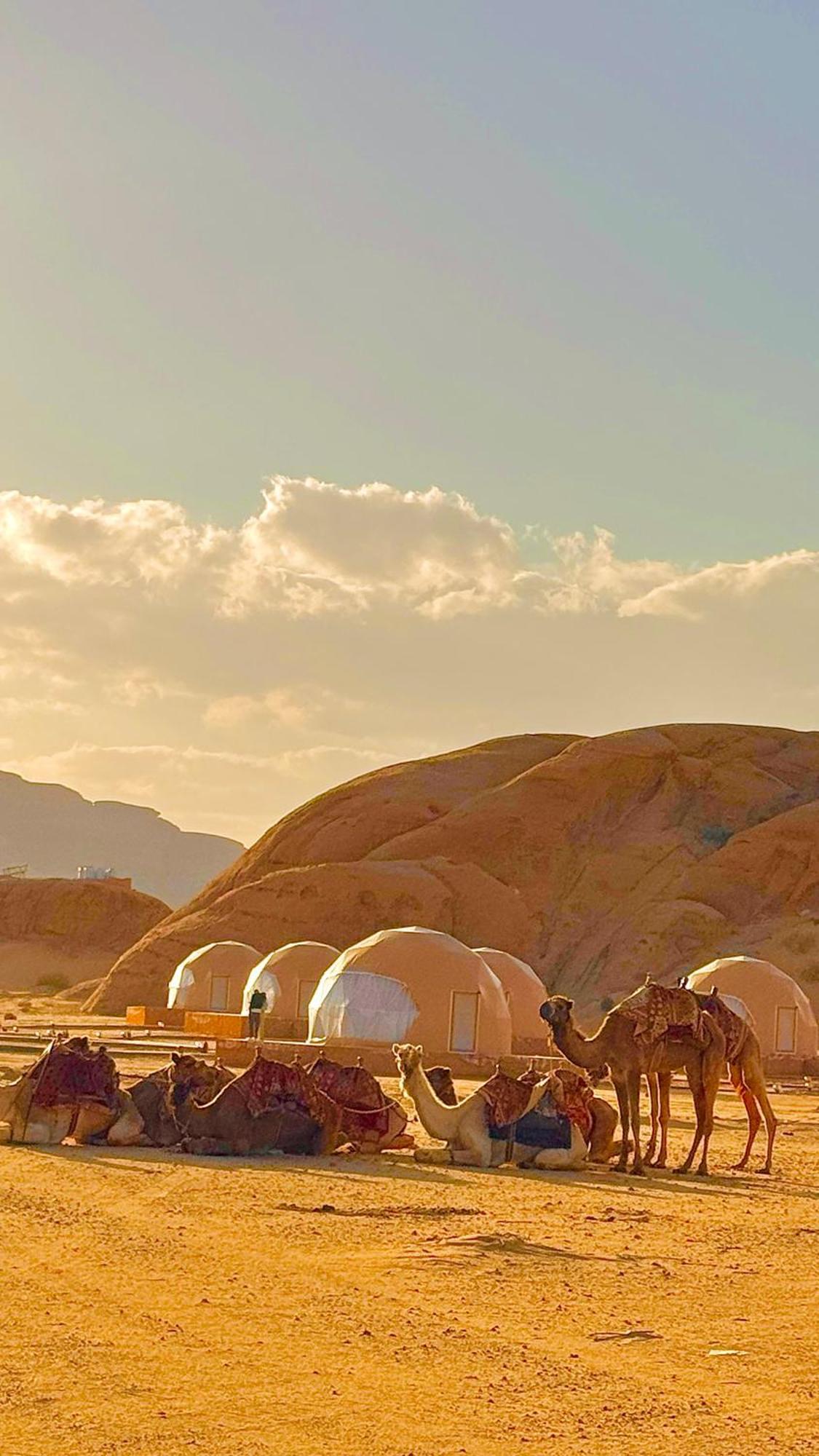 Wadi Rum Anwar Luxury Camp Exterior foto